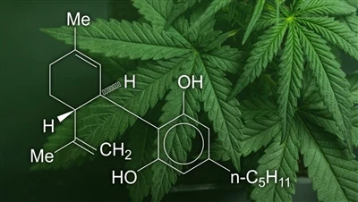 CBD, marijuana și cânepă: Care este diferența dintre aceste produse de canabi...
