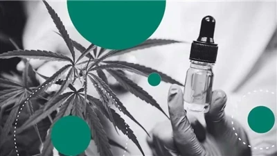 De ce CBD face cele mai bune balsamuri naturale de buze