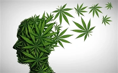 Cum să utilizați uleiul CBD pentru beneficii optime: Ghid complet?